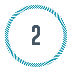 Roadmap 2