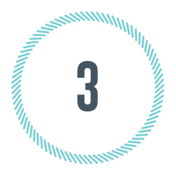 Roadmap 3
