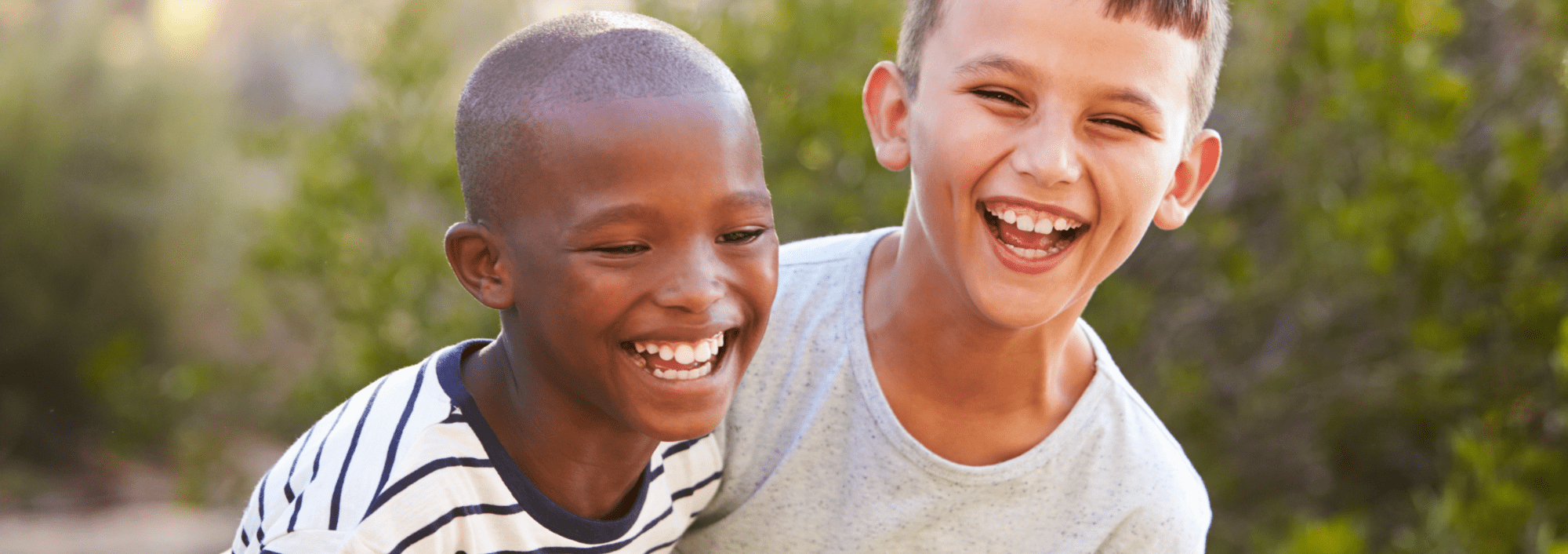 Our Programs Banner Image