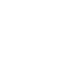 Circle Icon