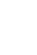 Light Bulb Icon