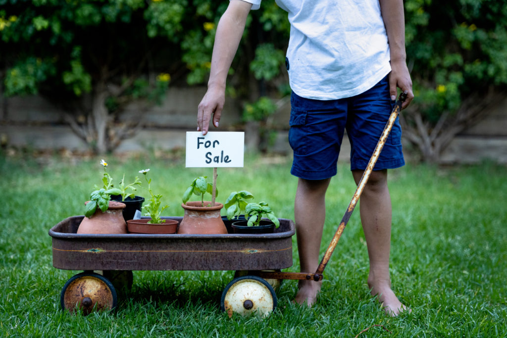A young boy selling plants. An entrepreneur in business.